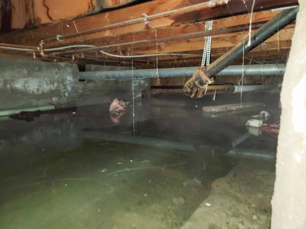 Best 24/7 water damage repair  in Fleetwood, PA