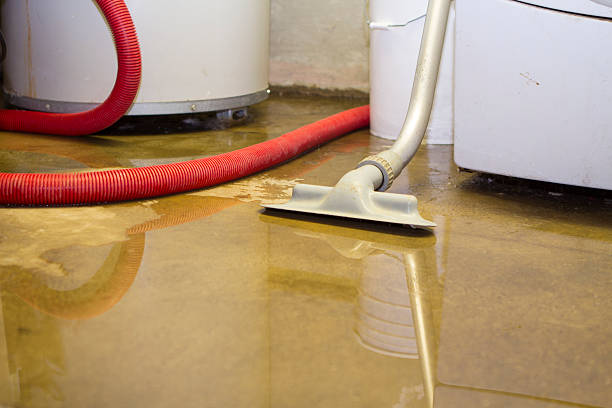  Fleetwood, PA Water damage restoration Pros