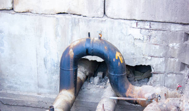 Best Professional water damage repair  in Fleetwood, PA