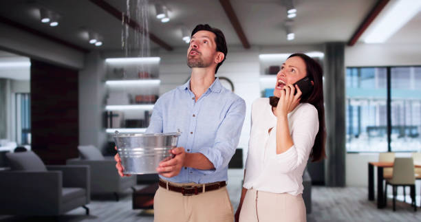Water damage restoration mold remediation in Fleetwood, PA