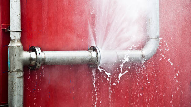 Best Basement water damage restoration  in Fleetwood, PA