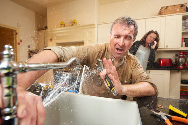 Best Professional water damage repair  in Fleetwood, PA